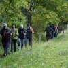 09 b Schluchensteig Etappe 4 - 6